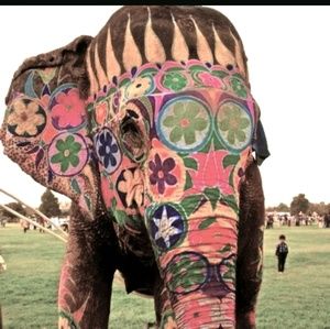 Meet your Posher, Sam